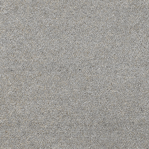 Fossil Grey
