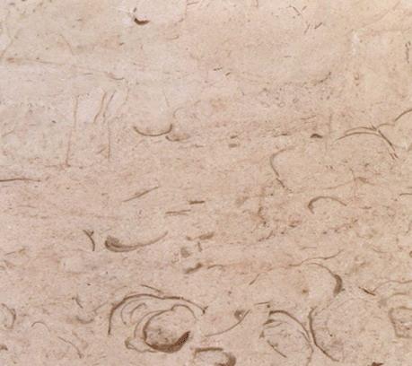 Red Whorl Cream