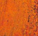 Orange Cavity Orange Cavity