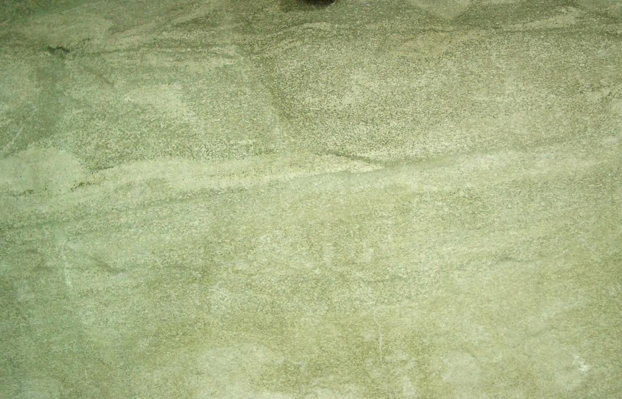 Coast Green Coast Green