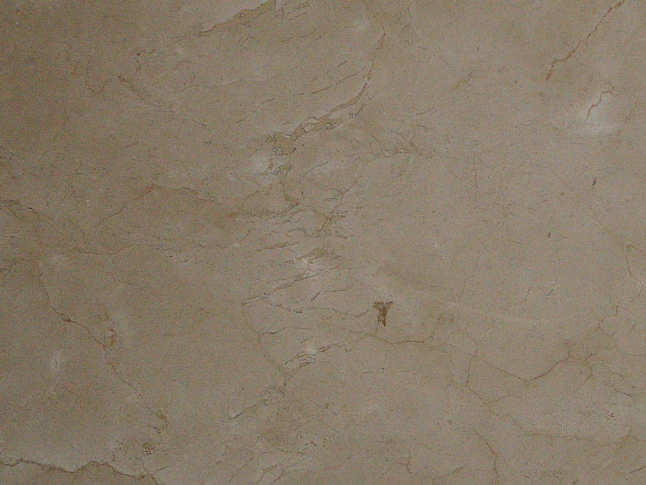 Cream Marfil