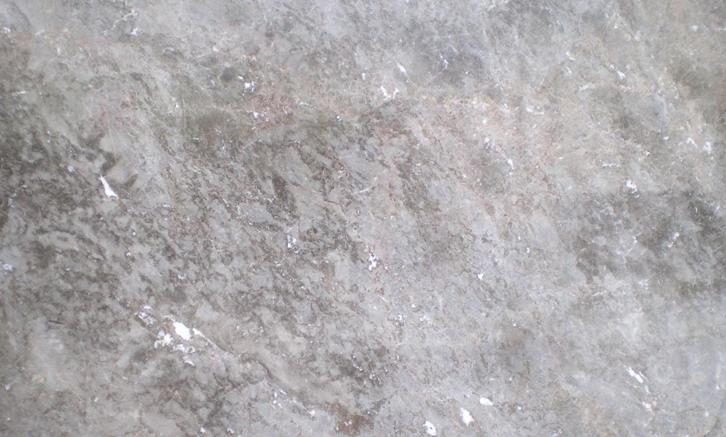 Camellia Beige