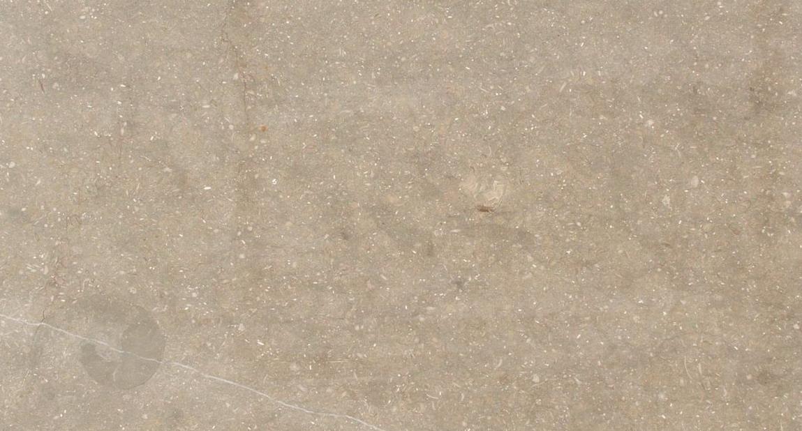 Sea Grass