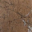 Rain Forest Brown