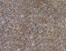 Sesame Yellow Slate