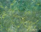 Green Peace