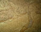 Golden Desert 