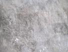 Camellia Beige