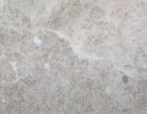 Beige Butterfly
