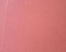 Piaskowiec Agra Red