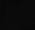 Vn Black